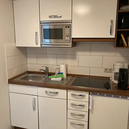 Apartment 4 Rosenbogen - Familienwohnung Mit Wintergarten Und Terrasse